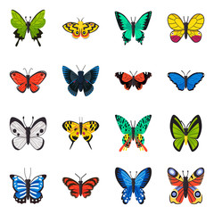 Isolated object of nature and summer icon. Set of nature and animal vector icon for stock.