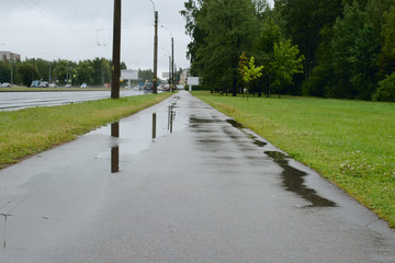 Fototapeta na wymiar Summer rainy weather St. Petersburg.