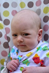 Newborn baby. Blonde boy with blue eyes, seven weeks.