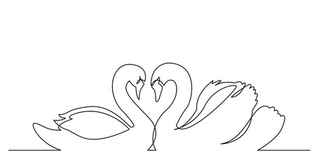 continuous line drawing of two beautiful swans gliding together © OneLineStock