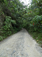 sendero