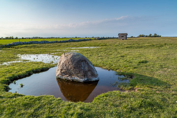 Erratic boulder in a puddle on a meadow on the eastern coast of Öland, Sweden.