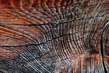 Texture image of an old wooden log