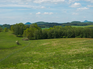 Fototapeta premium idyllic spring landscape lucitian mountains, with lush green grass meadow, fresh deciduous and spruce tree forest, hills, blue sky white clouds background, horizontal, copy space