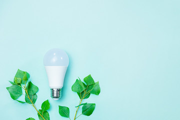 Energy efficience, ecological technologies, green electricity concept. Led lightbulb and  brances with green leaves symbolize environmental awareness and saving electricity to preserve nature