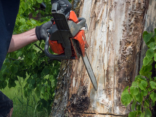 Chainsaw. Close-up of adult man with woodcutter sawing chain saw in motion, sawdust fly to sides. Chop and saw down trees concept.