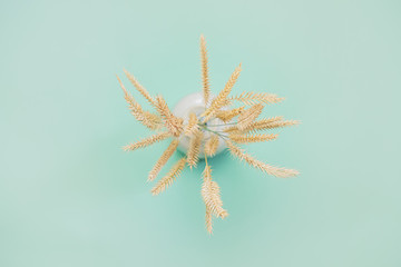 Spikelets of dry weeds, shot from above with shallow depth of field. Details of a simple bouquet of grass sprouts shot in soft tender colors, top view