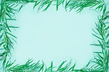 Green frame composed of fresh green seathorn brances and leaves. Background and copy space image symbolizing ecology, nature, spring and freshness