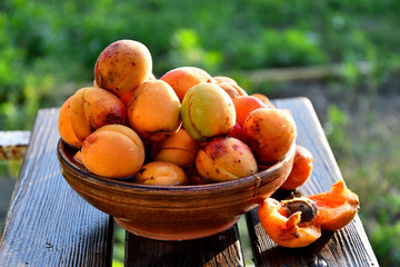 Very ripe homemade apricots in the garden on the bench, in a ceramic bowl.