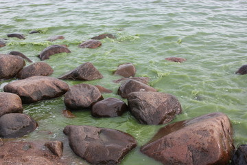 stones in water