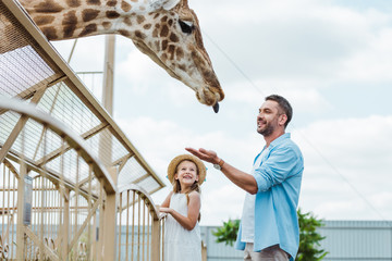Selective focus of cheerful man gesturing while looking at giraffe near kid in zoo - obrazy, fototapety, plakaty