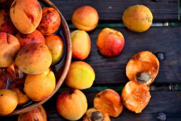 Very ripe homemade apricots in the garden on the bench, in a ceramic bowl.
