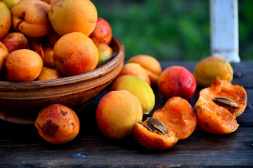 Very ripe homemade apricots in the garden on the bench, in a ceramic bowl.