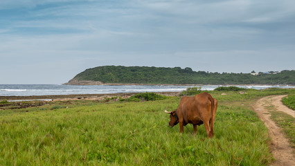 Beauf sur la Coline face à la mer