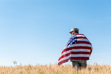 Soldier in cap and military uniform holding American flag in golden field