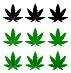 Cannabis leaf marijuana vector colorful illustration ganja 