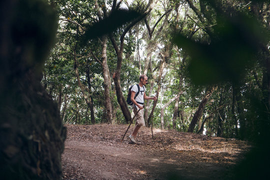 Young man hiking through forest at Garajonay National Park, La Gomera, Canary Islands, Spain