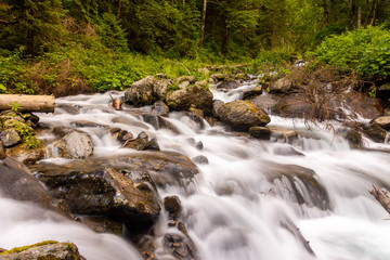 Naklejka na ściany i meble River in Fagaras mountains making his way through beautiful gree forest and rocks.