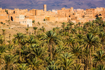 Fototapeta na wymiar Palm oasis in valley near NKob village in Morocco