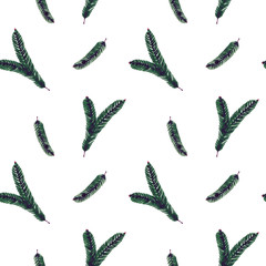 Seamless pattern with green fir branches. Watercolor illustration on white background.