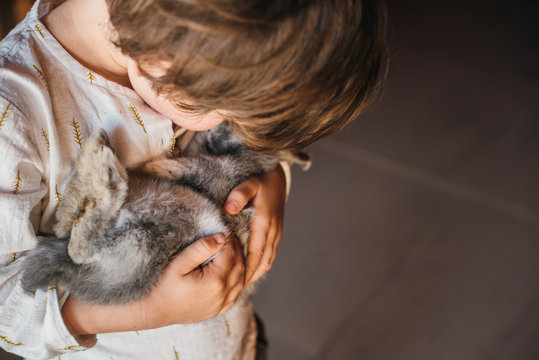 Crop view of anonymous little boy golfing cute fluffy gray bunny standing in daylight at home