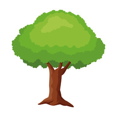 Tree nature cartoon isolated