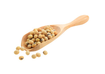 Soy beans in spoon on white background