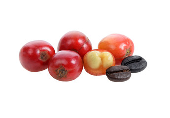 Red and black coffee beans on white background