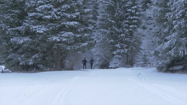 View of cross country skiers near Campitello di Fassa, Province of Trento, Trentino-Alto Adige/Sudtirol, Italy, Europe