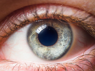 Human eye close up