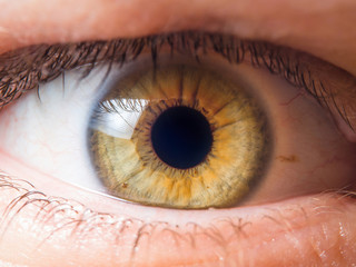 Human eye close up