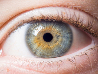 Human eye close up