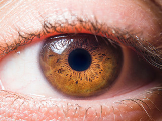 Human eye close up
