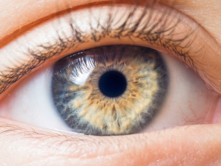 Human eye close up