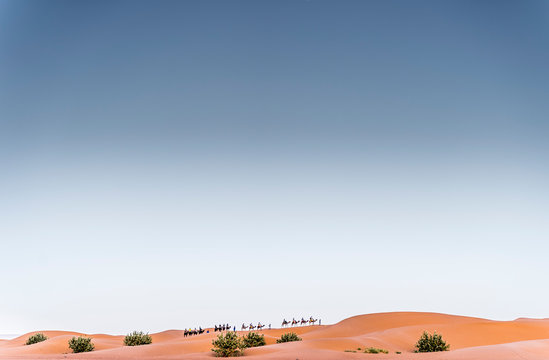 camels and people going between sand lands in desert in Morocco