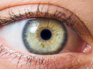 Human eye close up