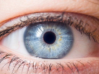 Human eye close up