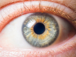 Human eye close up