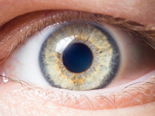 Human eye close up
