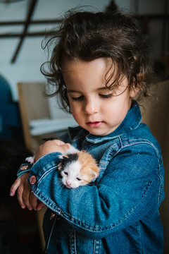 Adorable toddler girl in jean jacket holding tenderly three colored kitten at home