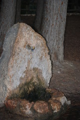 Stone Drinking Fountain in Park