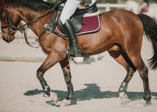 Crop side view of rider in leather boots riding horse on hippodrome in bright sunshine