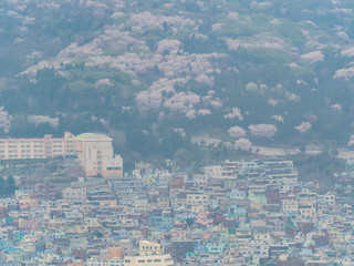 Aerial view of the Busan cityscape from Busan Tower