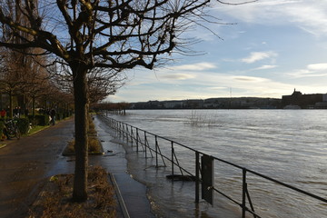 Bonn Rhein high water