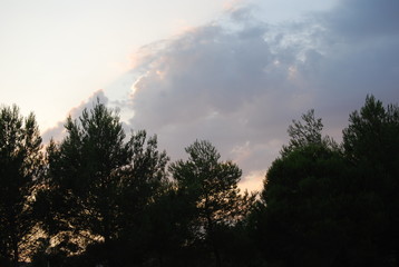 Fototapeta premium Evening Skyscape, Valencia, Spain, Europe