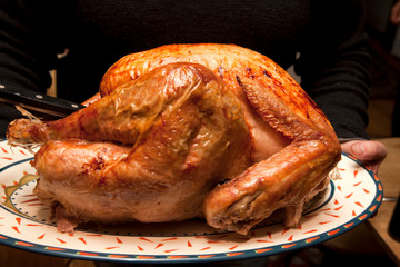 Roasted brown Christmas turkey on a serving platter. St Paul Minnesota MN USA