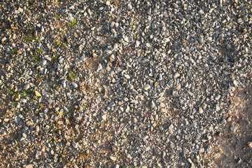 Background, material, texture of a gravel floor with stones and some vegetation