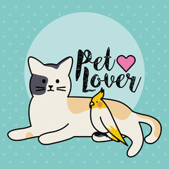 cute cat and bird mascots adorables characters