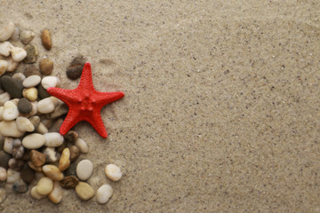 Seashells and pebbles on sand background
