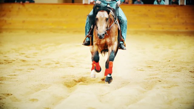 Horse charges into sand and stops instantly in slow motion